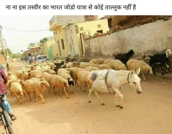 Tulsi Kumawat tweet media