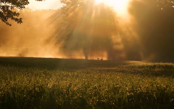 #FoggyMorning 🌅☕️