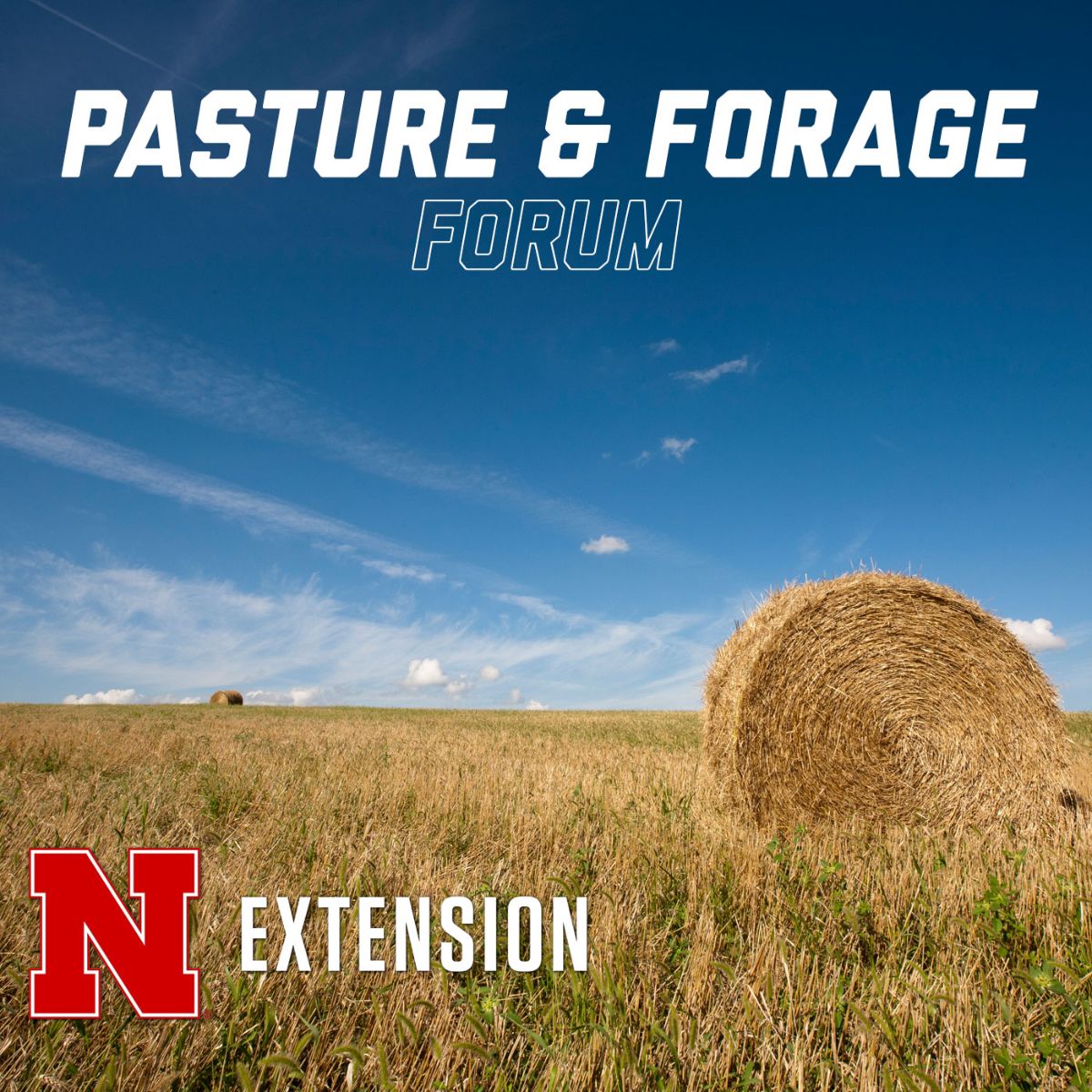 In this week's #Pasture and #Forage Minute:
❄️ #Snow Cover in Pastures &amp; #Grazing Considerations
🧮 Inventorying Remaining Forage Supply
<a href="/HuskerHerdsman/">Ben Beckman</a> <a href="/ForagesGuy/">Brad Schick</a> <a href="/twhitney3_todd/">Todd Whitney</a>

#beef #UNLBeefExt
mailchi.mp/a2d4cca9f502/f…