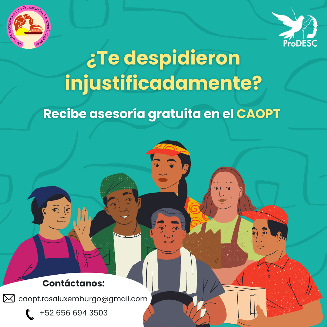 ProDESC's tweet photo. ¿Te despidieron de tu trabajo y no sabes qué hacer?

Acércate al #CAOPT, ahí te brindarán asesoría gratuita para que conozcas tus #DerechosLaborales y te acompañan para protegerlos.

Contáctalas👇
https://t.co/Vi74gzfjLa https://t.co/7NL6jdJTNt