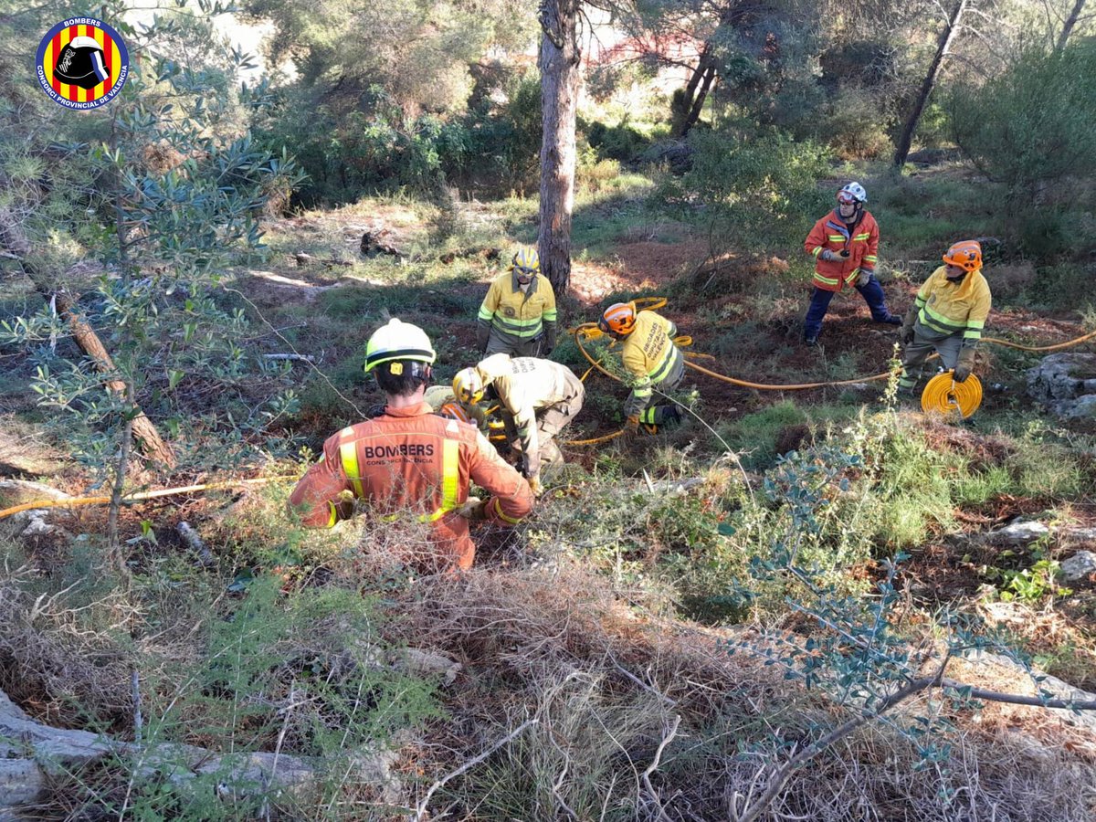 BombersValencia's tweet photo. 🔥⛰️Continuem amb les pràctiques conjuntes d'estesa de mànegues a l'àmbit forestal

👥 Hui amb personal @BombersValencia de #bombers, coordinadors forestals, comandaments #BRIFO i diverses unitats #BRIFO. 

📍Realitzades a: Gandia, Sagunt, Sinarcas https://t.co/bJC0tkqUOL
