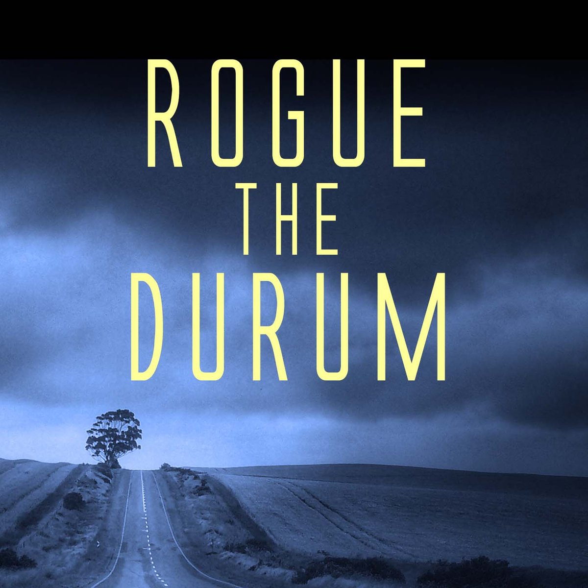 My #mystery novel is on sale today in Canada, the UK, and Australia at most #ebook retailers! #99cents #99pence @WildRosePress #twrpbks