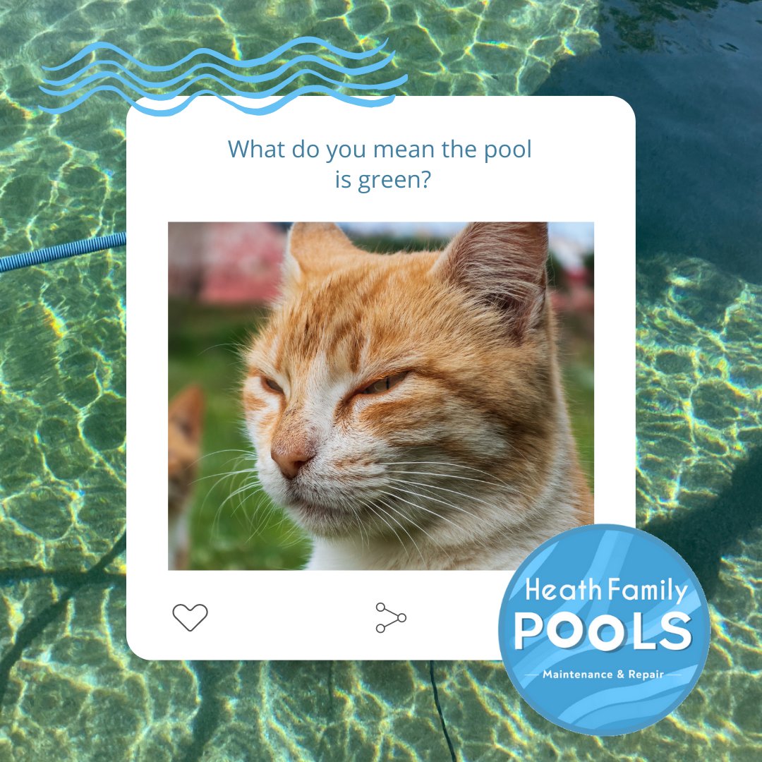 HFPools tweet picture