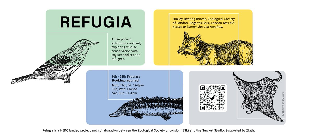 Join our free pop-up exhibition 'Refugia', which creatively explores #WildlifeConservation with asylum seekers &amp; refugees, &amp; discover how art &amp; science can bring together diverse perspectives

🗓️9-19 Feb
📍Huxley Theatre, ZSL

Register for your ticket now👉bit.ly/3Y9uPE4