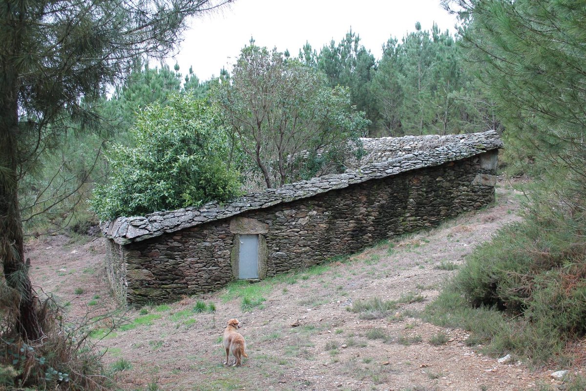 apatrigal's tweet photo. O MEL DO DEZA. CULTURA RURAL 
Daniel Gonzàlez Alén

Reportaxe das alvarizas e da Feira de Apicultura de Lalín, na revista Cultura Rural da #SemanaVerde 

1/2 https://t.co/1tWtBzzyft
