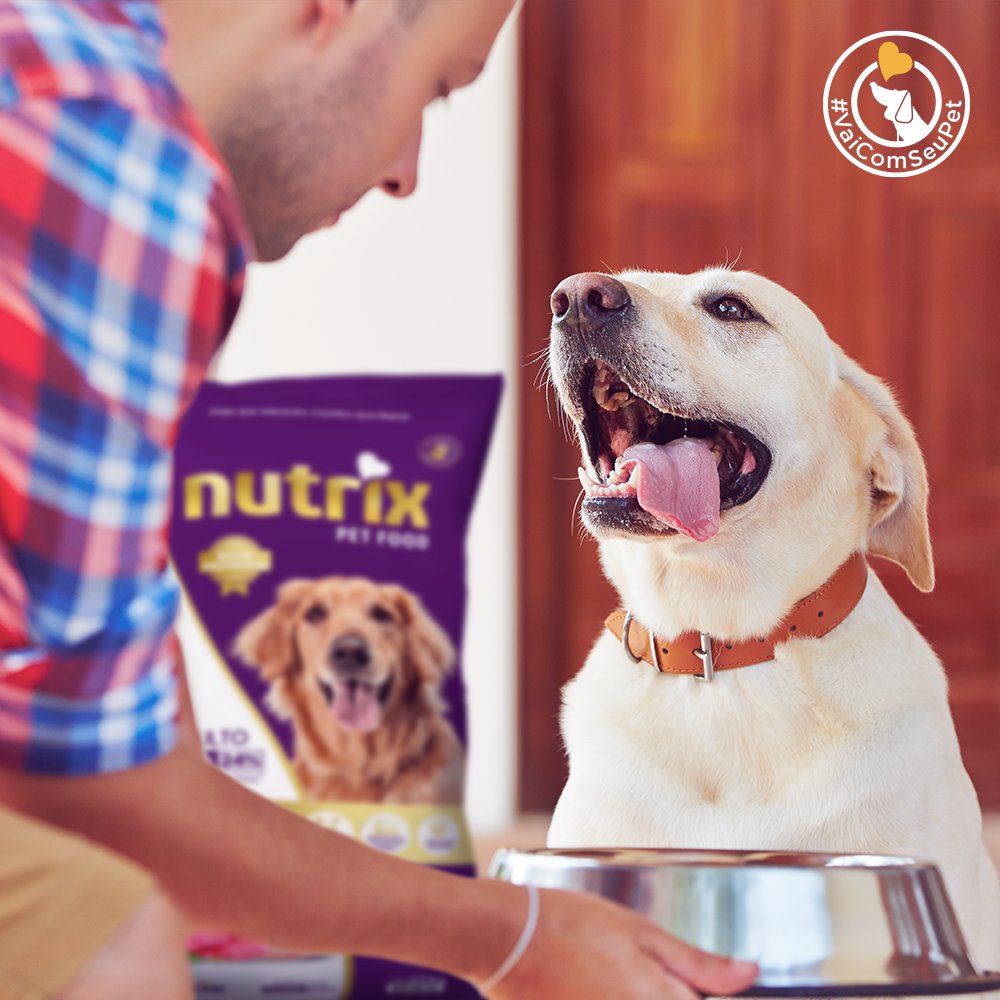 NutrixPetFood's tweet photo. Oferecemos em nossa fórmula, um alimento completo para o seu dog. Além de um sabor irresistível de Nutrix, nossos alimentos não contém corantes e aromatizantes artificiais, proporcionando mais saúde e longevidade ao seu melhor amigo. 💜💛

#vaicomseupet #nutrixpetfood #nutrix https://t.co/382DOiVuGJ