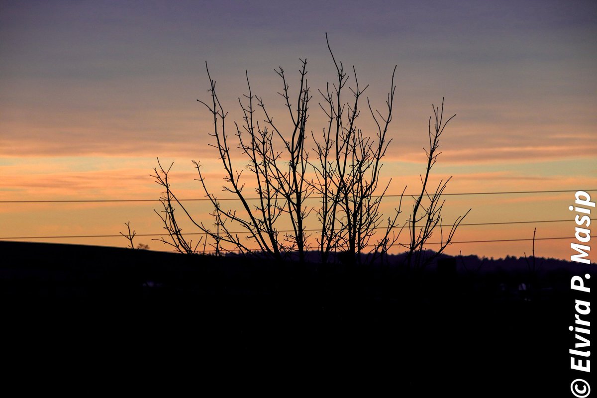 #elvirapmasip #totfentfotos #fotodeldia #photooftheday #canonespaña #sunrise🌅 #sunrise_and_sunset #sunrise_and_sunsets #sunrise_sunset #sunrise_sunsets_aroundworld #sunriselover #sunriseoftheday #sunrisephotography