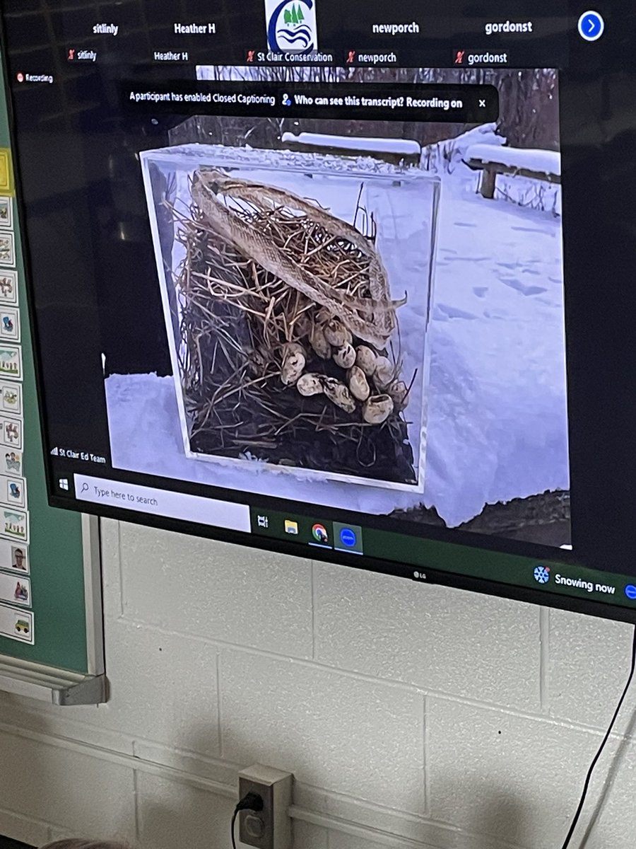 FDK class is learning about hibernation and protecting our environment. Thank you @SCRCA_water #lkdsb #studentengagement