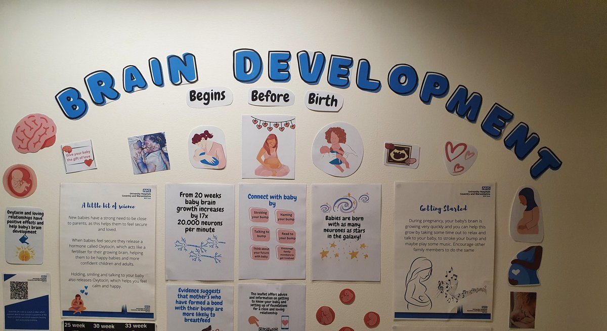 Brain development begins before birth #antenatal #warddisplay #promotinglove #braindevelopment #babybrain #nurturinggrowth #infantfeeding #responsiveparenting @nhsuhcw