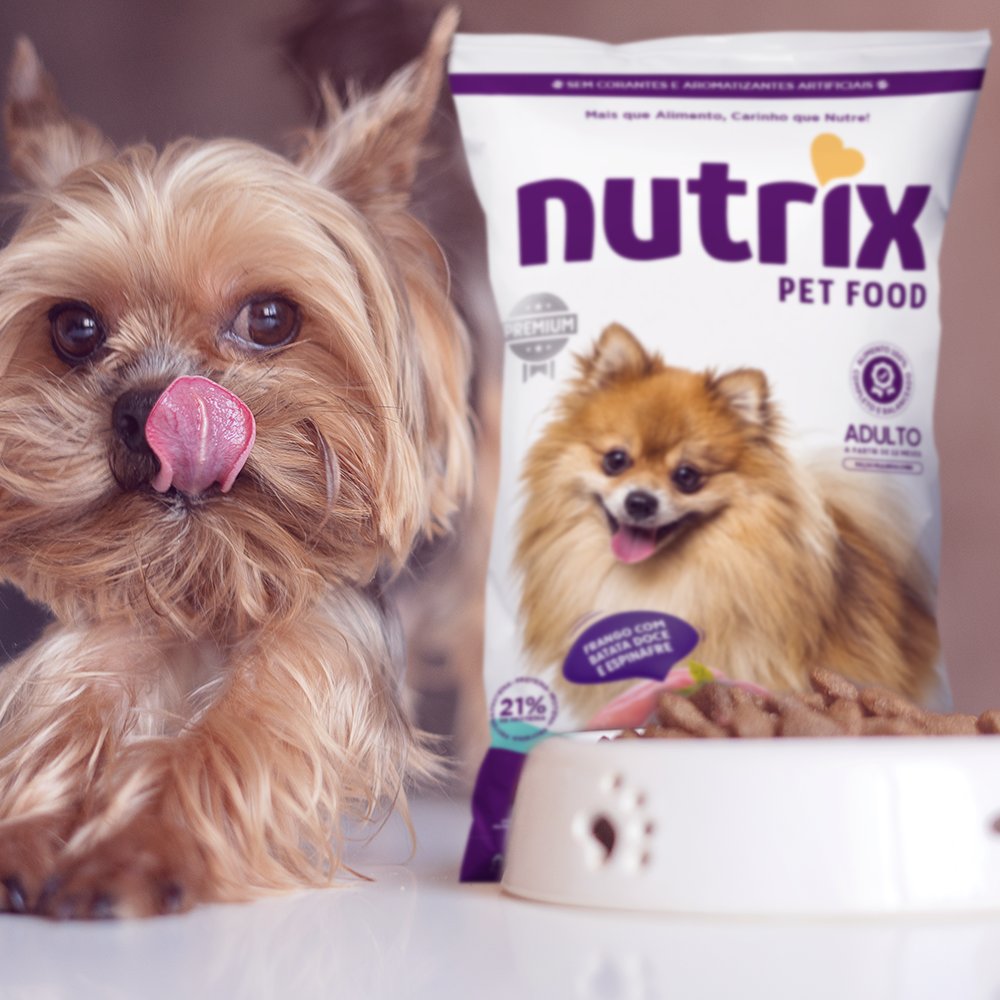 NutrixPetFood's tweet photo. Já pensou o quanto o seu pequeno vai amar? Nossos alimentos estão sendo preparados com o mais alto padrão de qualidade e em breve estará disponível para o seu pet se deliciar. Cruze os dedinhos e vamos para a contagem regressiva! 💜💛

#vaicomseupet #nutrixpetfood #nutrix https://t.co/zPfIGAOIle
