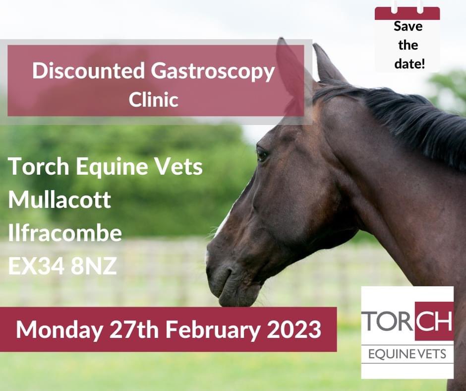 TorchEquineVets's tweet photo. 📆 SAVE THE DATE! 📆 

Our popular Gastroscopy day returns on Monday 27th February at our Mullacott site. 

Spaces are expected to fill fast so don't miss out! 

☎️ Call 01271 879516 to book!

#equinevet #equinegastroscopy #devonvets #EGUS #equineulcers https://t.co/Um3un17q08