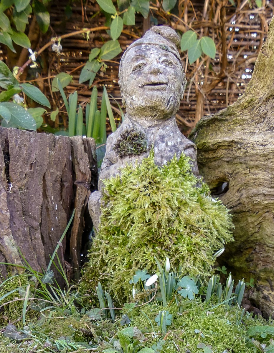 Steve Robinson tweet media