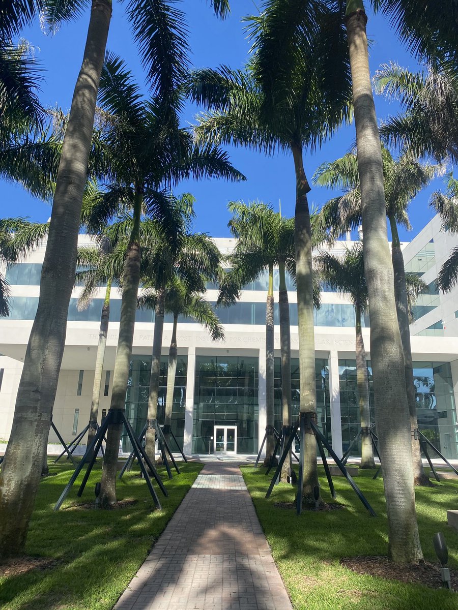 JTdavidhao's tweet photo. It is a pleasure to share photos of our newly relocated lab at Frost Institute of Chemical and Molecular Sciences and campus at the University of Miami.@univmiami @EngineerUMiami https://t.co/VoL6dOoP2H