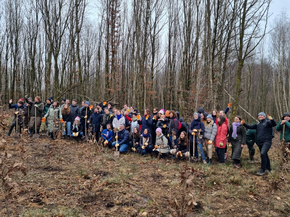 We planted 1.600 trees in the Sonian Forest in #Belgium 🇧🇪 with #DiscoverEU young travellers. This action is part of the #3BillionTrees initiative 🌳🍃🍂🍁 #Eyy2022 <a href="/EuropeanYouthEU/">European Youth ❤️🇪🇺</a>