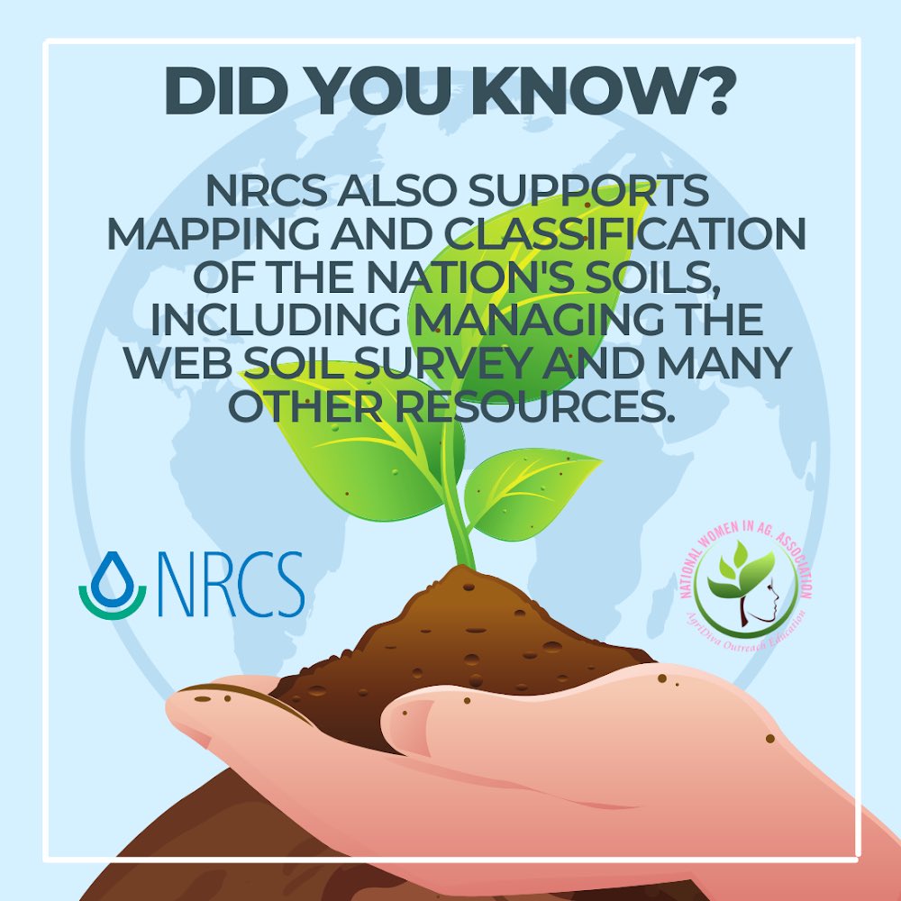 NWIAA's tweet photo. Happy Monday Ag Family‼️💚
NWIAA, second to none is back with the facts! 🗣It’s also another day In Ag to get a bag. 🌱
#agmonday
#agdaily
#ageducation
#usda
#fsa
#nrcs
#womeninag
#agridivas
#meninag
#agridreamers https://t.co/H5PEH58mBg