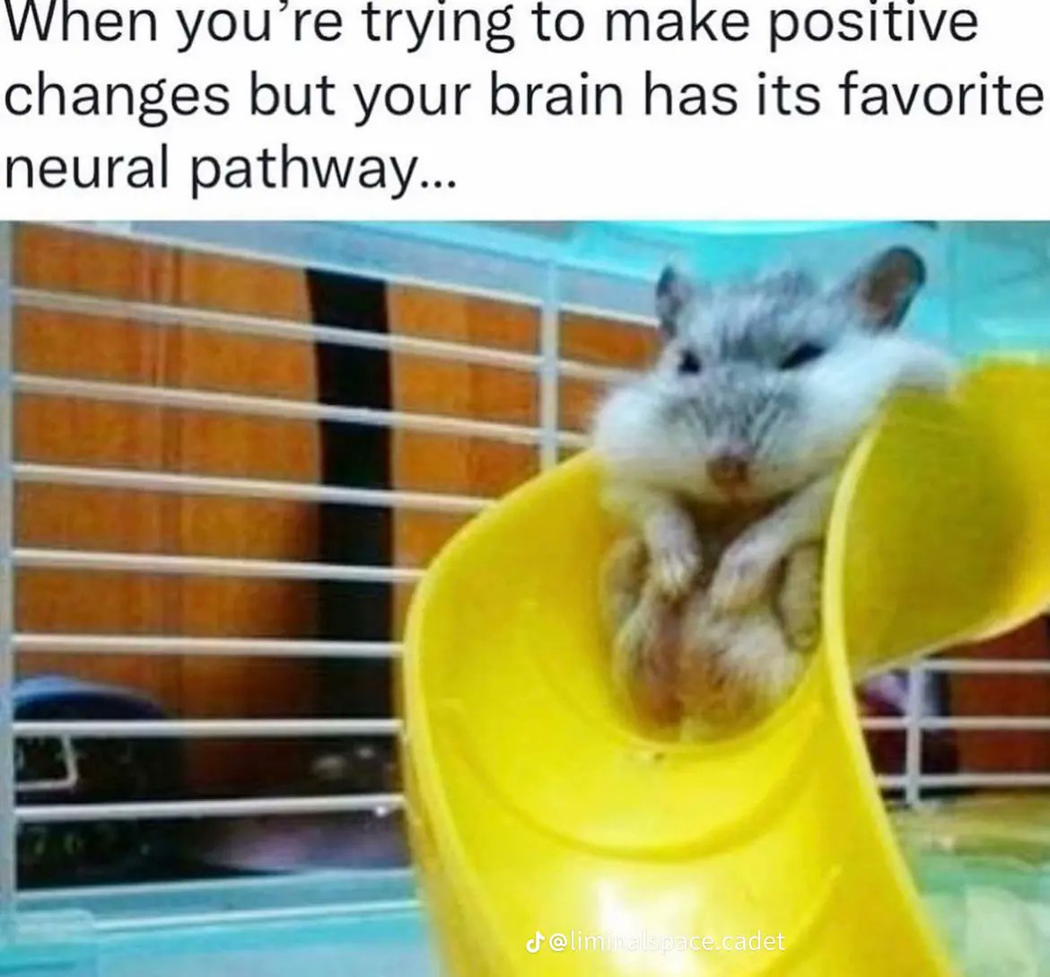 Kate Baldwin 🇵🇸 tweet media