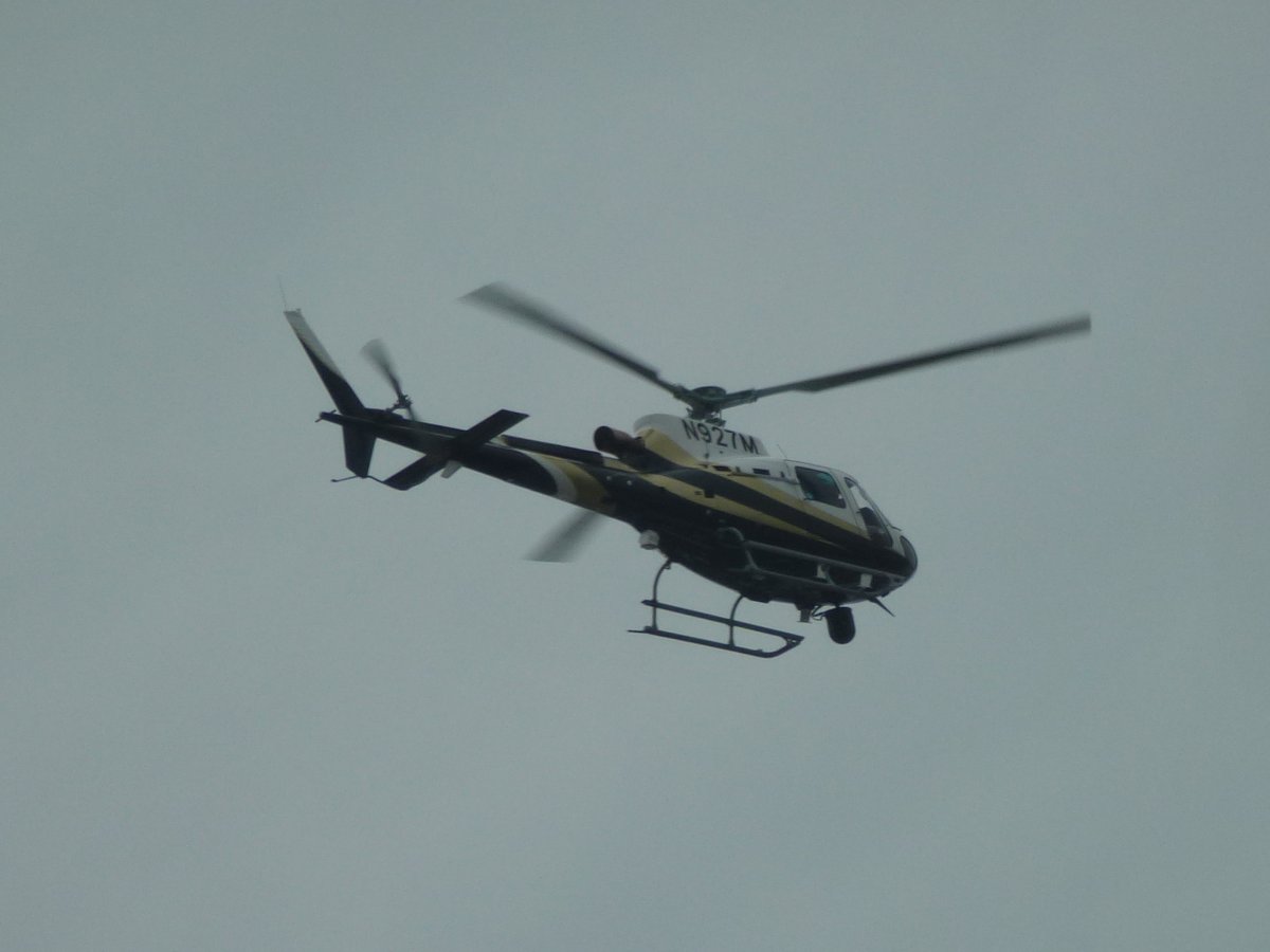 Nick Stoler tweet media