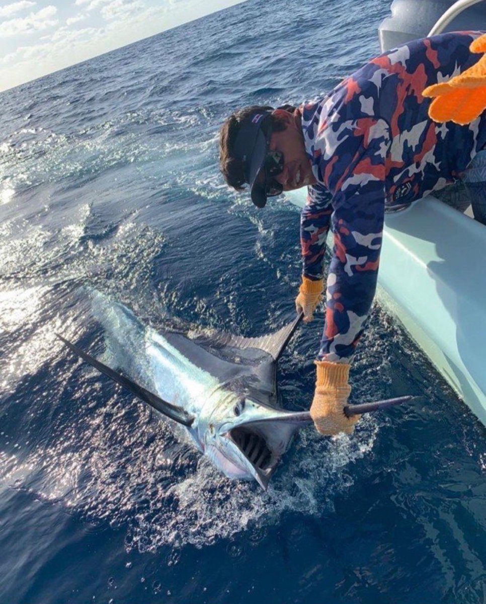 BillfishReport's tweet photo. Drake Bay, CR - Reel Time released a Blue Marlin. #DrakeBay #BlueMarlin https://t.co/EyeIAgy9VM