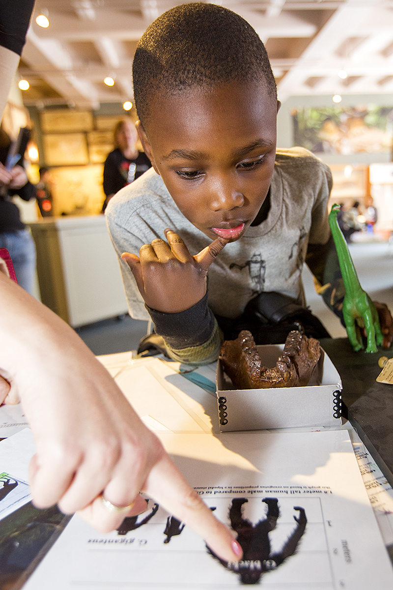 HarvardMuseum's tweet image. We invite you to our I ♥ Science event on 2/11, hosted for the first time in-person since 2020! Let your inner scientist loose and enjoy indoor and outdoor activities. Free parking at 52 Oxford St garage; regular admission rates apply. bit.ly/IHeartScienceH…. #IHeartScience