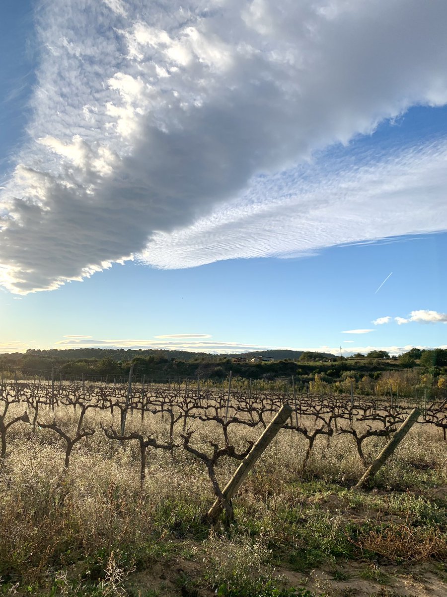 Celler 9+ tweet media