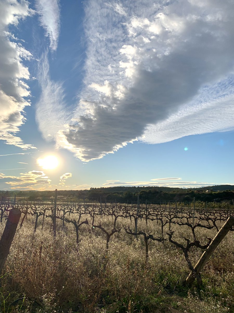 Celler 9+ tweet media