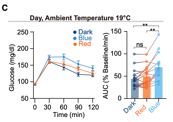 nicknorwitz's tweet photo. Can I just say again how CRAZY it is that the light that hits our eyes can alter our glucose metabolism 🤯 https://t.co/Z1gcvagvhG
