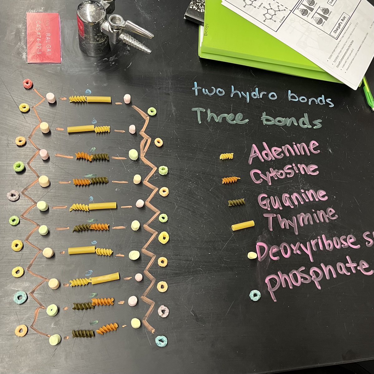 torchianator's tweet image. CP Bio making some very creative models to start introducing DNA structure. Love it. 🧬🖤💜 #KnightScience #CPBio #DNAModels @FazioSally @OldBridgeTPS