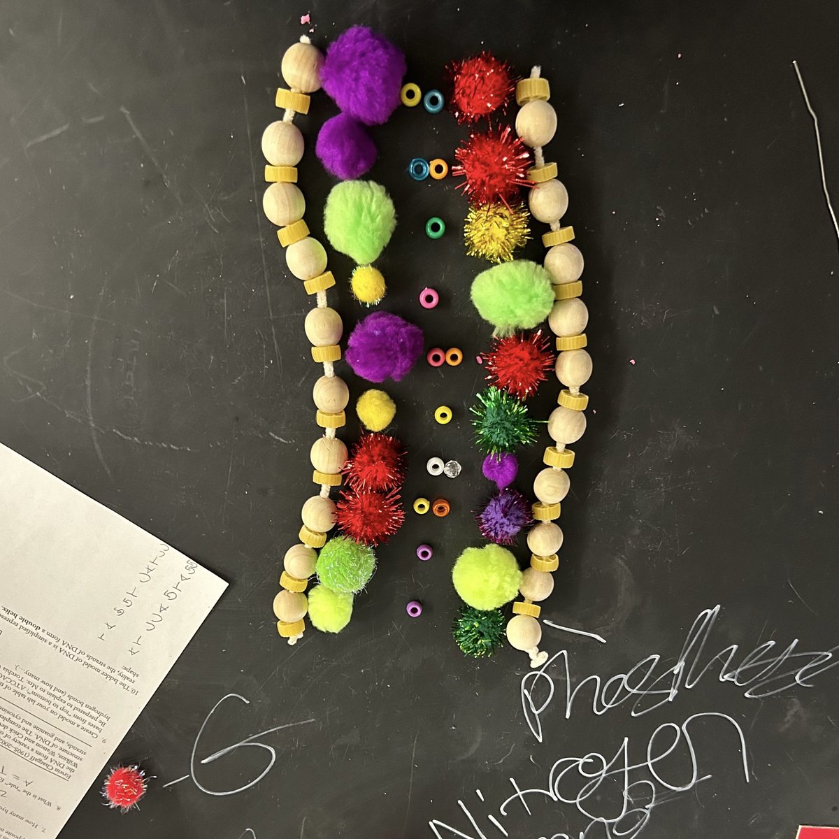 torchianator's tweet image. CP Bio making some very creative models to start introducing DNA structure. Love it. 🧬🖤💜 #KnightScience #CPBio #DNAModels @FazioSally @OldBridgeTPS