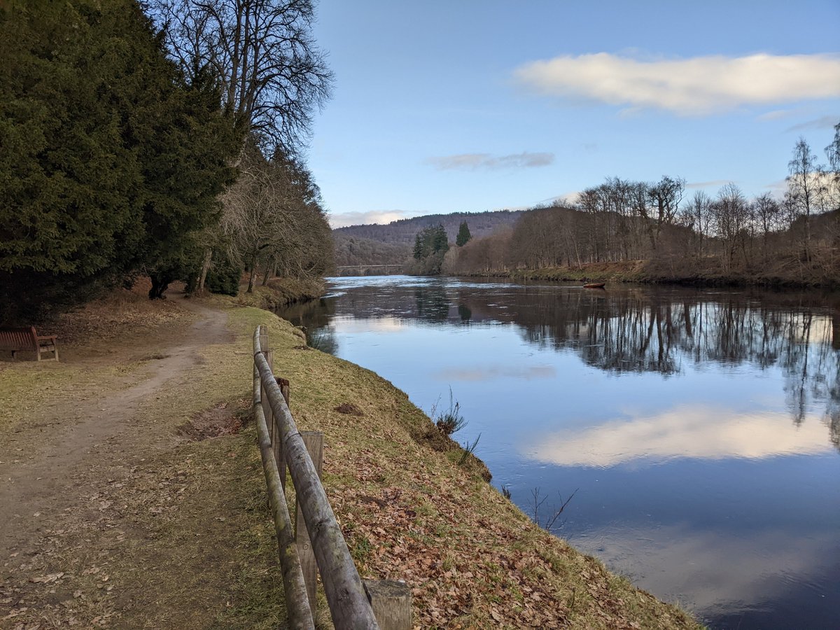 Fiddler's Path in Dunkeld was looking pretty fine in this afternoon's sunshine. A few red squirrels to be seen as well!