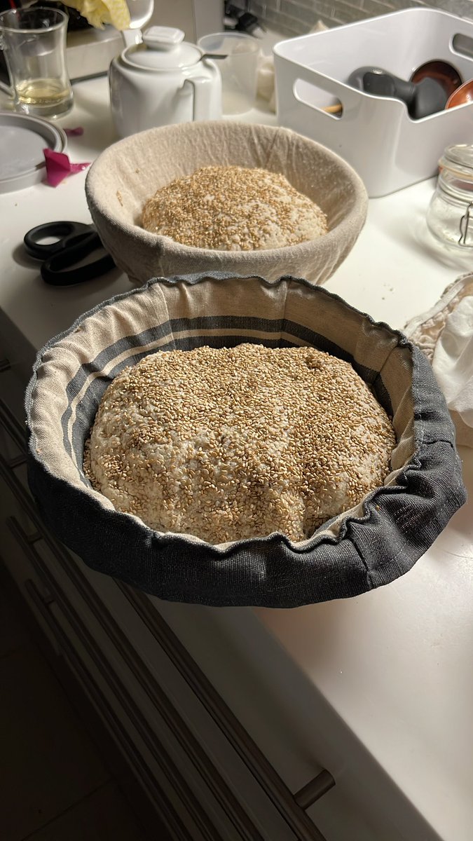 PorScherb991S's tweet image. Late night bake with this dude #beast @akidcalledbeast #GFBread