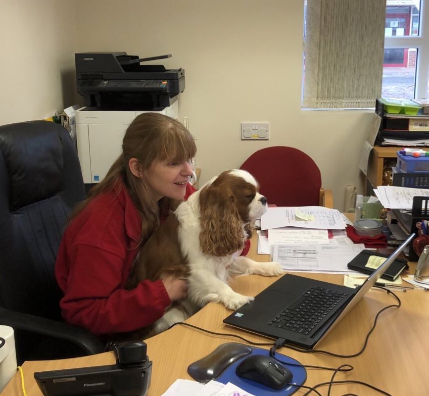 Dogsthorpe_Edu's tweet image. Did you hear about Dogsthorpe Infant School today on the @BBCCambs #BreakfastShow? Want to know more about what we do for (and give) children and families in the #CostOfLivingCrisis? Visit our website and join over 30,000 people downloading our podcast at wwwDreamBelieveShine.co.uk