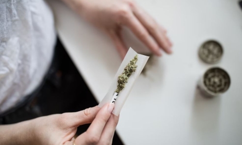 CultivatorNews's tweet photo. Adult-Use Marijuana businesses in Massachusetts pass $4 Billion in sales #Uncategorized https://t.co/j4eNXoyOKs https://t.co/UjGVf39pEe