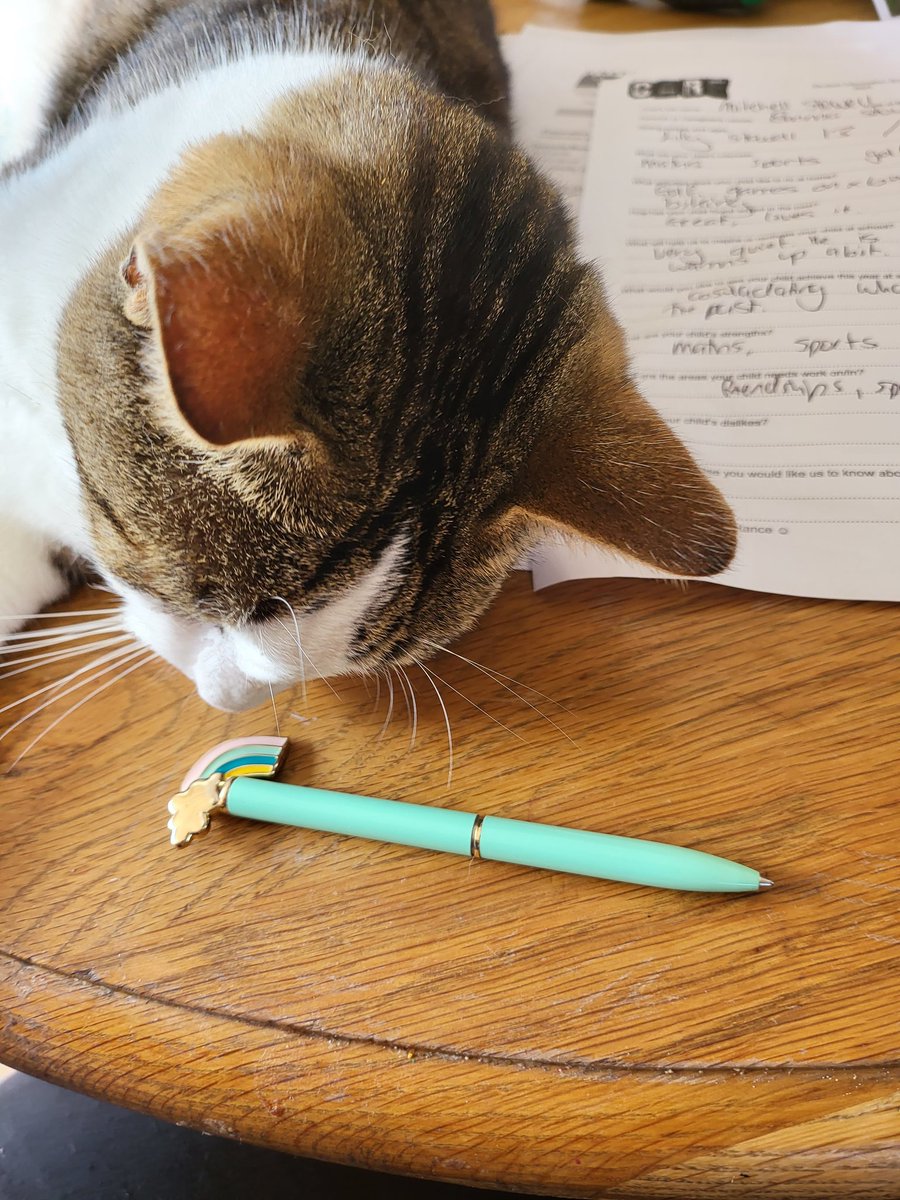 #ADHDtip do half of your forms the minute you get them. It'll seem less daunting later meaning you're more likely to get it done. You might find that you do have attention to finish. You might get some of it done before your cat thinks he's more important.
#RepresentationMatters