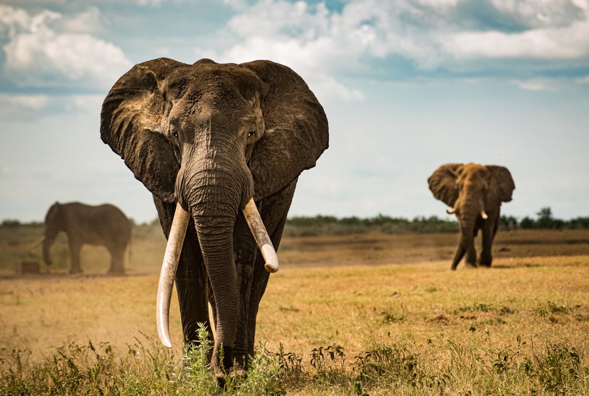 thewebscaledba's tweet image. zcu.io/JMF0 How to use pg_largeobject in PostgreSQL?  #PostgreSQL #PostgreSQLDBA #PostgreSQLBlob