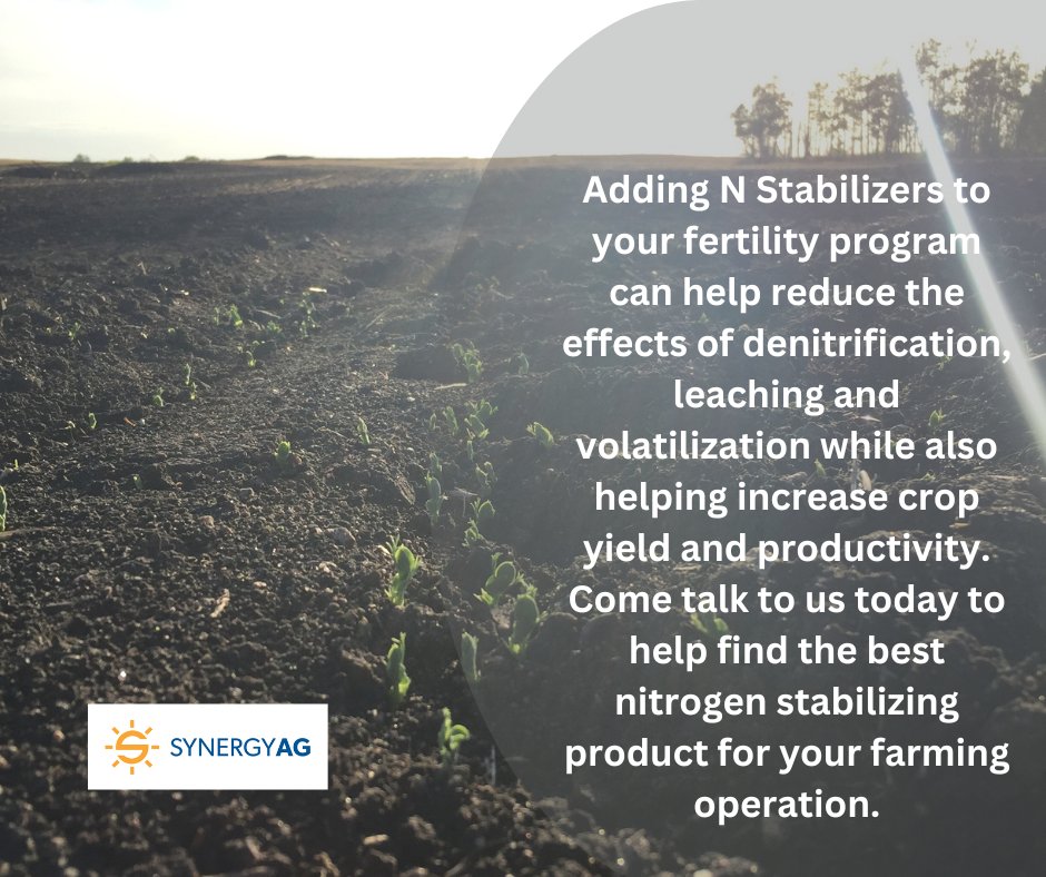 SynergyAG Yorkton (@synergyagyktn) on Twitter photo Did u know that N can get lost to the soil or air in 3 different ways? Denitrification, Leaching & Volatilization. N stabilizers can help reduce these effects. For more info about N stabilizers come talk to us today.
#synergyag #rootsyoucancounton
#nitrogenstabilizer Did u know that N can get lost to the soil or air in 3 different ways? Denitrification, Leaching & Volatilization. N stabilizers can help reduce these effects. For more info about N stabilizers come talk to us today.
#synergyag #rootsyoucancounton
#nitrogenstabilizer
