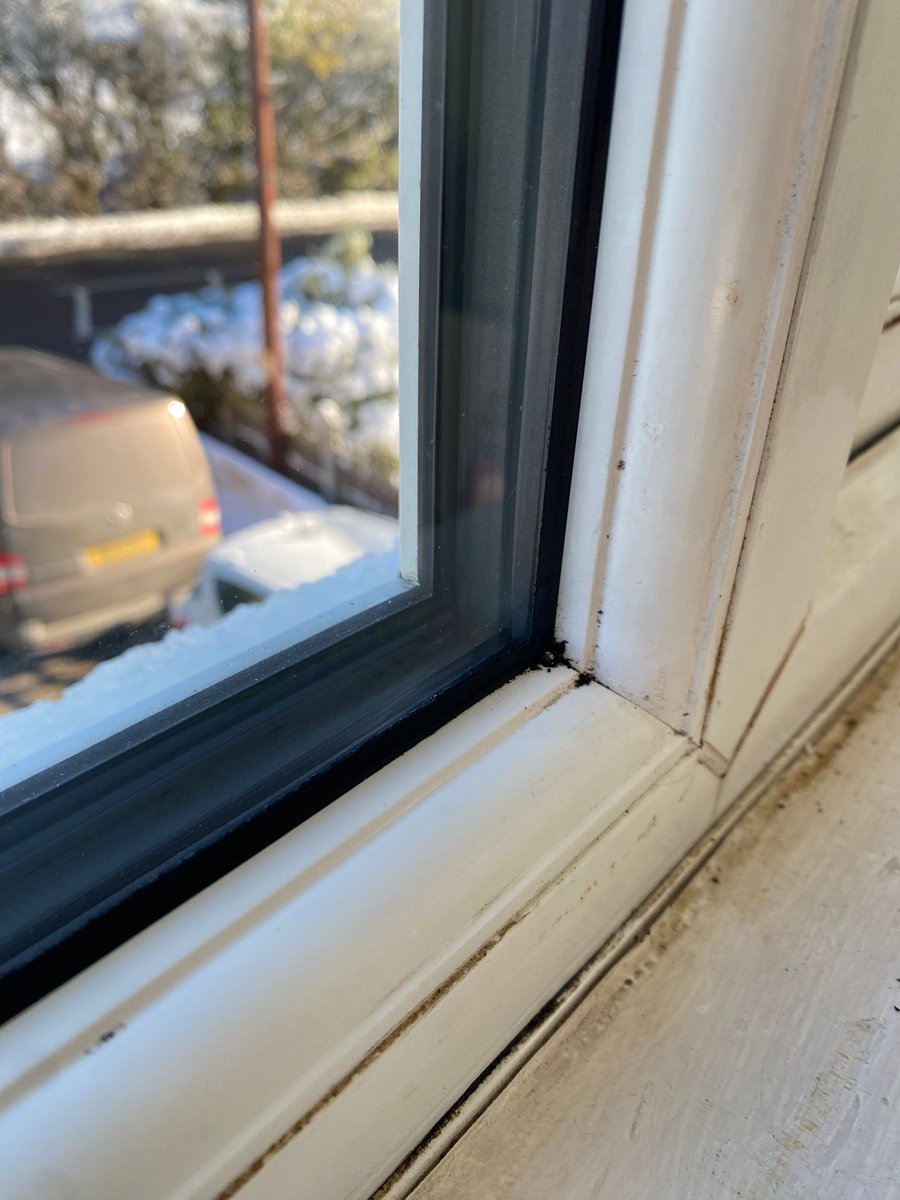 mistyglazing's tweet photo. Misty Window Repairs carried out in all areas of
Harlow | Sawbridgeworth | Bishops Stortford
#Mistywindows #Harlow #Misteddoubleglazing #Sawbridgeworth #Blownwindows #Cloudydoubleglazing https://t.co/wzybBVdIp9