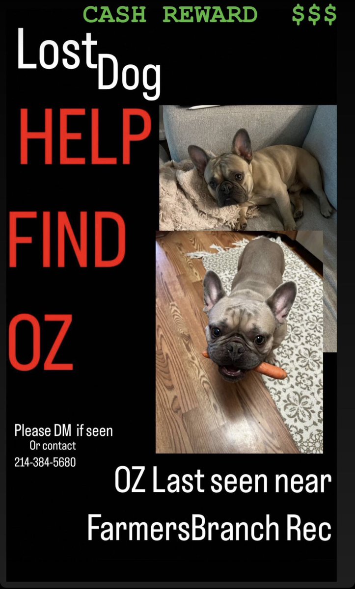 LaChonaaa's tweet photo. I know y’all need $$ for some eggs!
Help Find Oz!
CASH REWARD ! 
Please RT 💕 https://t.co/q890fsTOdc