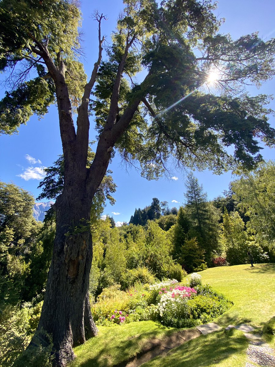 Pauuloreti's tweet photo. Bellevue es lo más cercano al paraíso en Bariloche https://t.co/Z0rvhNGTo8