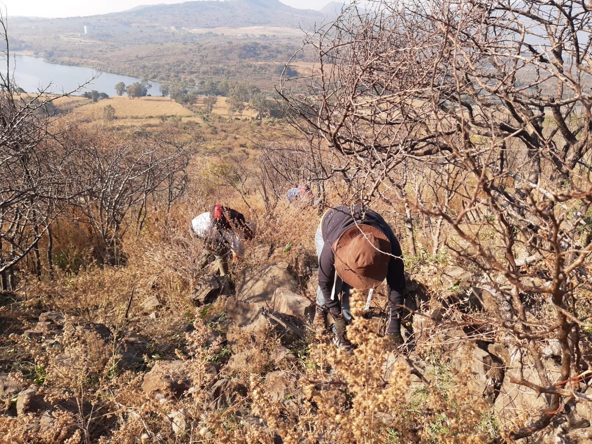 PNUD_Mexico's tweet photo. Comenzó el segundo ciclo de implementación de acciones de conservación, restauración y aprovechamiento sustentable para promover la producción y filtración de agua ⛰️💧, así como regulación de flujos hídricos. 

@SomosCocaCola 
@aipromades 
@Profauna_Mexico https://t.co/XsFxr7Nrzz