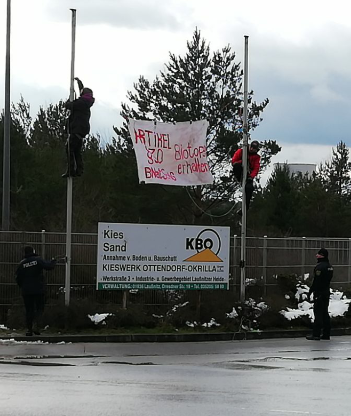Heibo tweet media