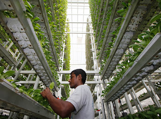 Bloğumuz da tarlamız gibi yeni açılıyor 🤗

İlk yazımızda #DikeyTarım'ı tanımlamaya çalışıyoruz. Yorumlarınızla katkılarınızı bekleriz👇
yenidentarim.blogspot.com/2023/01/dikey-…