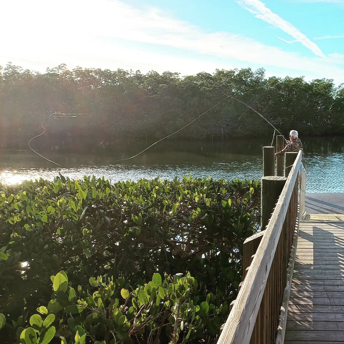 VisitSarasota's tweet photo. A great day for fly fishing 🐠🐟🐠 What is your favorite thing to do on a #Sarasota vacation?

📷 @jennifermacaire https://t.co/TQoxnyOrhI