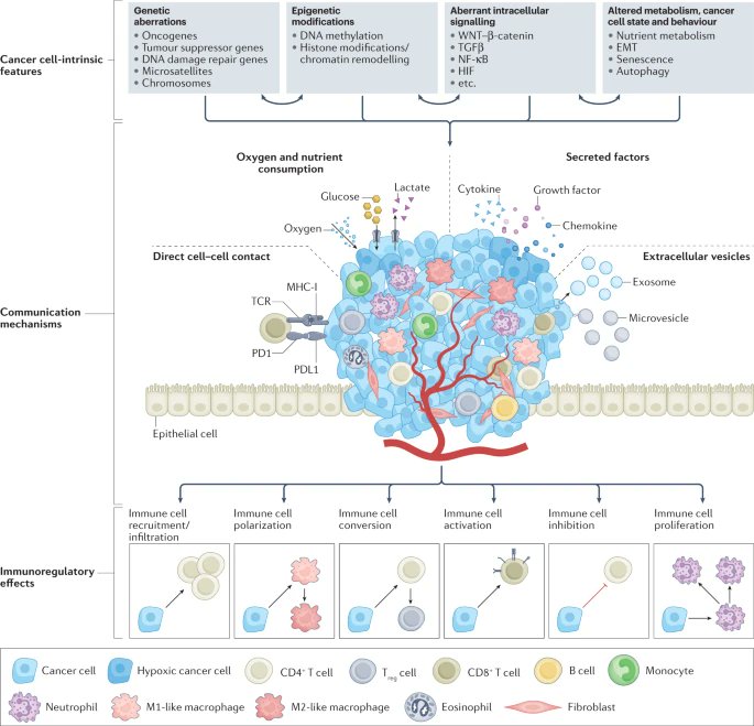 'Mechanisms driving the immunoregulatory function of cancer cells' nature.com/articles/s4156…