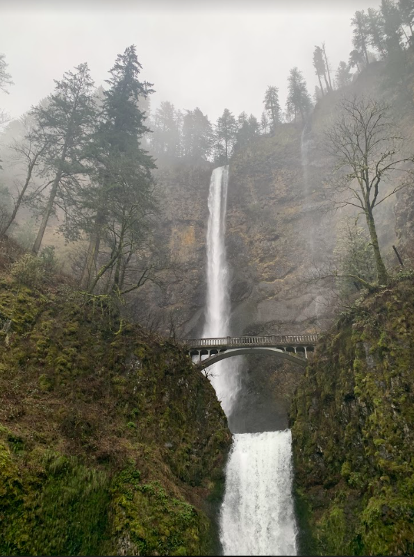 ZacNarrates's tweet photo. Aaaand, just as I post about my favorite parks, I find a new one. This is Multnomah Falls in the Columbia River Gorge. https://t.co/PE9HvOEDU8