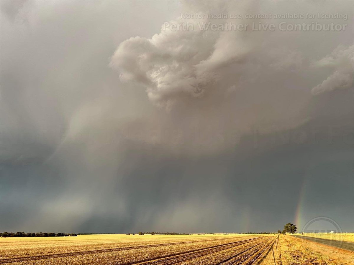 JayStill4's tweet photo. #WA #weather yesterday #Meckering #wheatbelt https://t.co/PSjdY4m6Lq