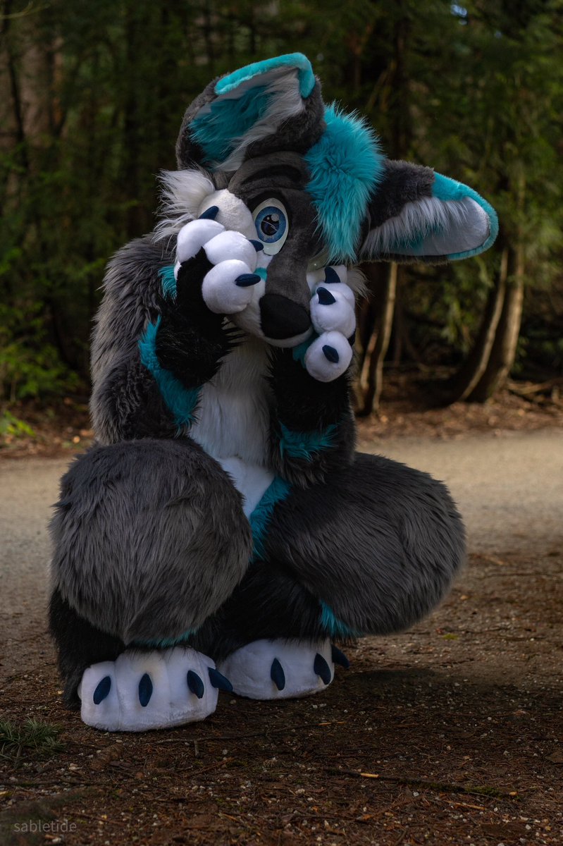 Do you approach the fluffy fox for hugs this #MoreFurLessMonday? 🦊

📸 <a href="/sabletide/">stark 🌙</a> 
🪡 @morefurless