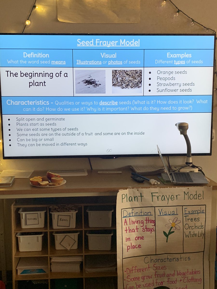 Ruby Erickson tweet media