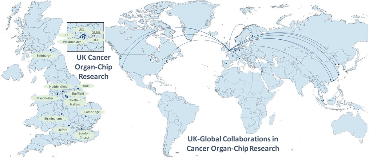DocBruggsBunny's tweet photo. With the passing of the #FDAModernizationAct, we review the rapid uptake of #OrganonaChip technology for #cancer research and drug discovery in the UK, with a perspective on future directions and challenges for the field from the UK @OrganOnAChip Network.
https://t.co/i8V6Z4DQcH https://t.co/fzBf1tRbdw