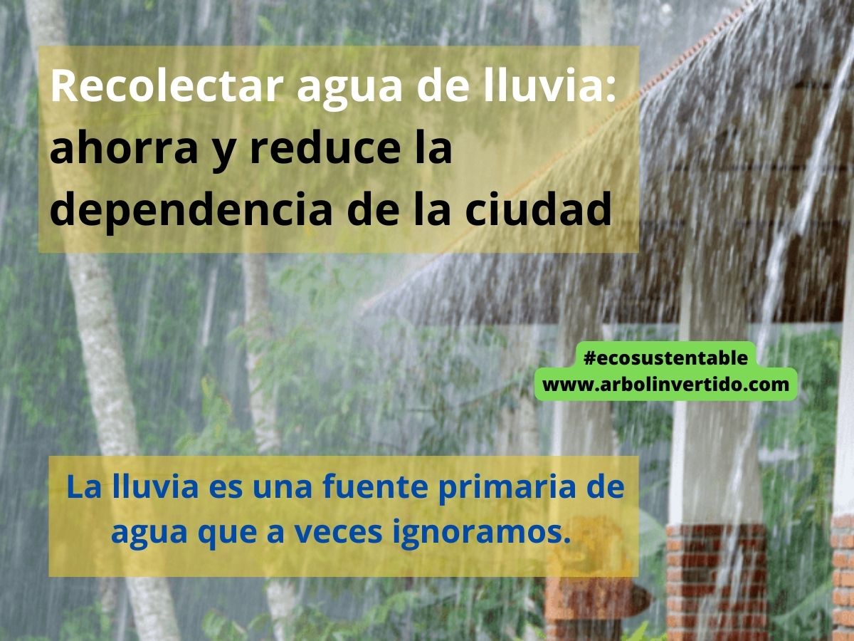 ArbolInvertido's tweet photo. 🟡🟢 #Ecosustentable | Recolectar agua de lluvia: ahorra y reduce la dependencia de la ciudad
✍ Andy Leyva García
La recolección de agua de lluvia se puede utilizar principalmente para las actividades donde la calidad potable del agua no tenga importancia: como limpiar, lavar. https://t.co/YZI53cUIU8