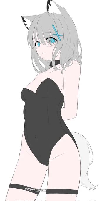 シロコ 